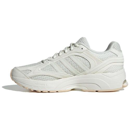 Кроссовки adidas SPIRITAIN 2.0 SHOES JH8024