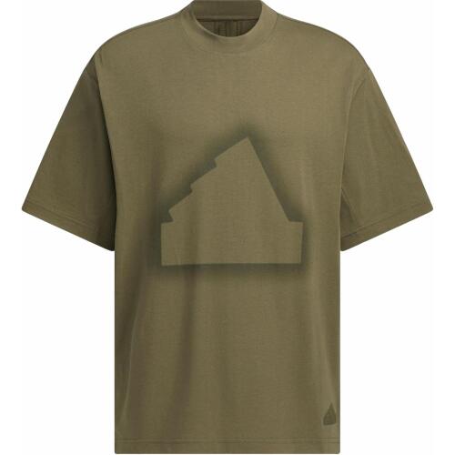 Мужская футболка adidas FUTURE STYLE GRAPHIC T-SHIRT JD3238
