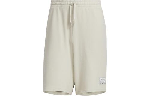 Мужские шорты adidas GRAPHIC SHORTS MBTI JP4592