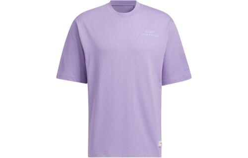 Мужская футболка adidas GRAPHIC T-SHIRT 2 MBTI JP4583