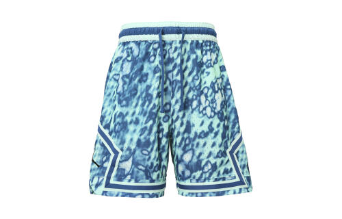 Мужские шорты nike Jordan Sport черные