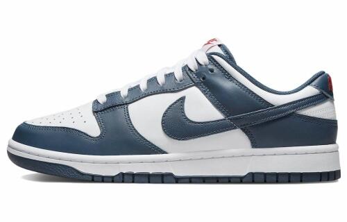 Кроссовки Nike Dunk Low Retro 'Valerian Blue'