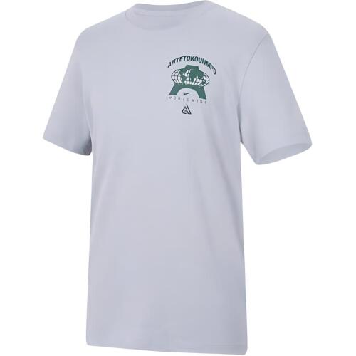 Мужская футболка nike Giannis серая
