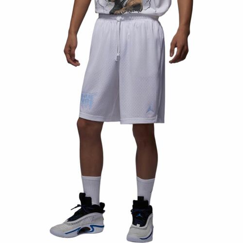 Мужские шорты nike Jordan Sport белые