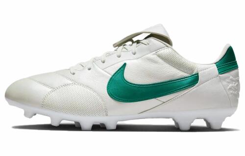 Мужские бутсы The Nike Premier III FG зеленые