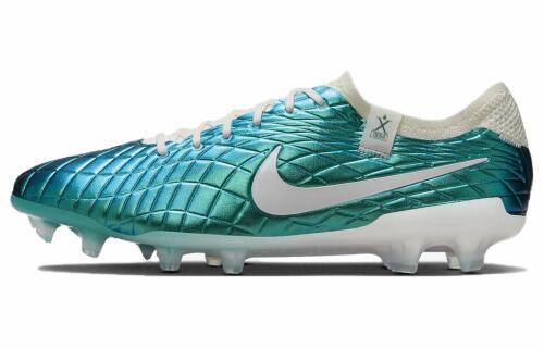 Мужские бутсы Nike Legend 10 Elite FG 30