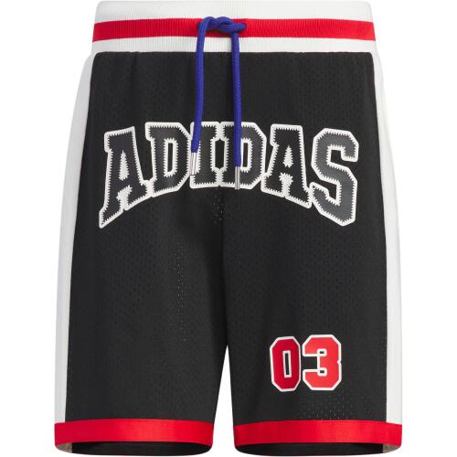 Шорты adidas RETRO STREET BASKETBALL SHORTS