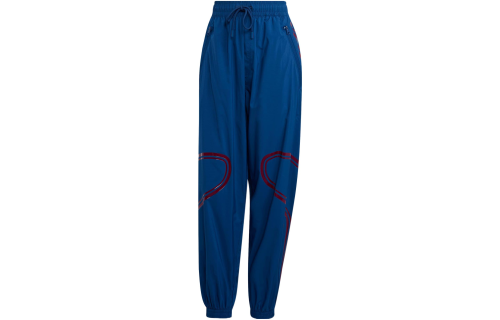Женские брюки adidas TRUEPACE WOVEN PANTS