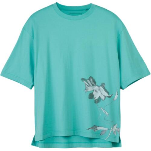 Мужская футболка adidas GRAPHIC SHORT SLEEVE TEE