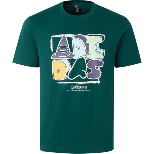 Мужская футболка adidas GRAPHIC T-SHIRT