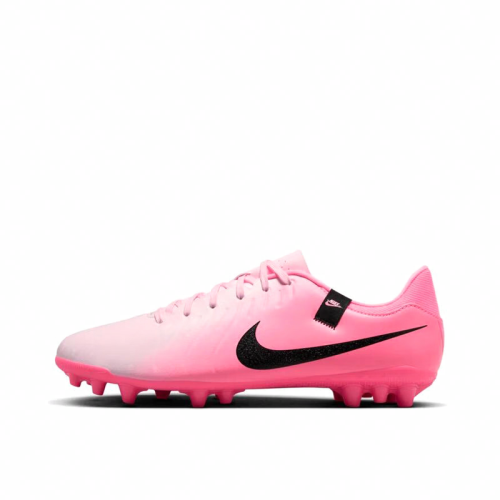 Мужские бутсы Nike Legend 10 Academy AG