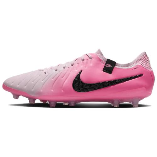 Мужские бутсы Nike Legend 10 Elite AG-Pro