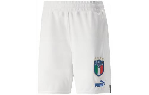 Мужские шорты Puma Men Football Shorts White