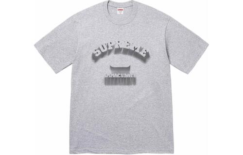 Supreme SS24 WEEK1 SHADOW TEE T