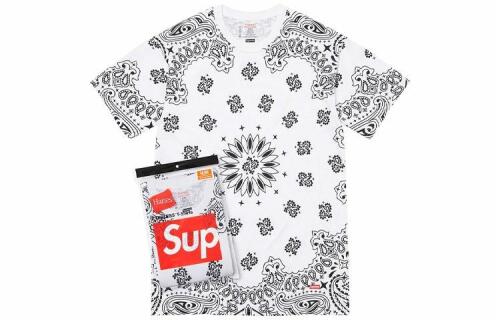 Supreme FW22 Week 1 x Hanes Bandana Tagless Tees T 2