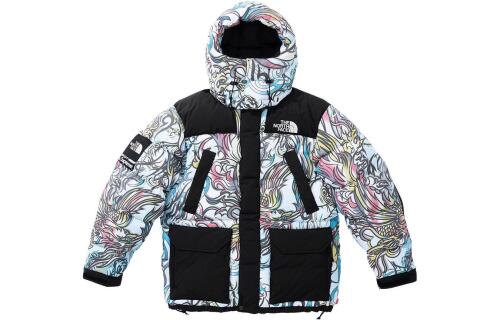 Supreme FW22 Week 7 x The North Face 700-Fill Down Parka Logo