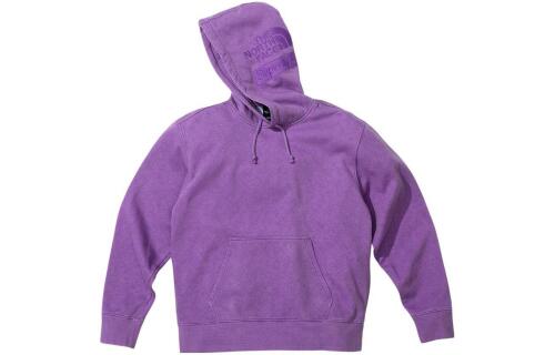 Supreme FW22 Week13 Supreme Pigment Printed Hooded Sweatshirt