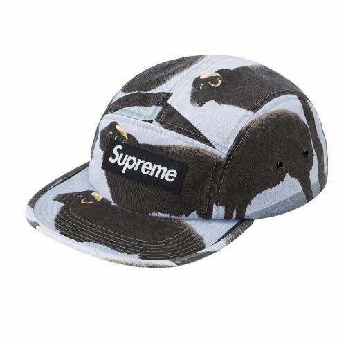 Supreme SS25 WEEK 1 SupremeDamien Hirst Camp Cap