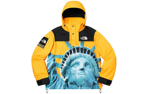 Supreme x THE NORTH FACE TNF