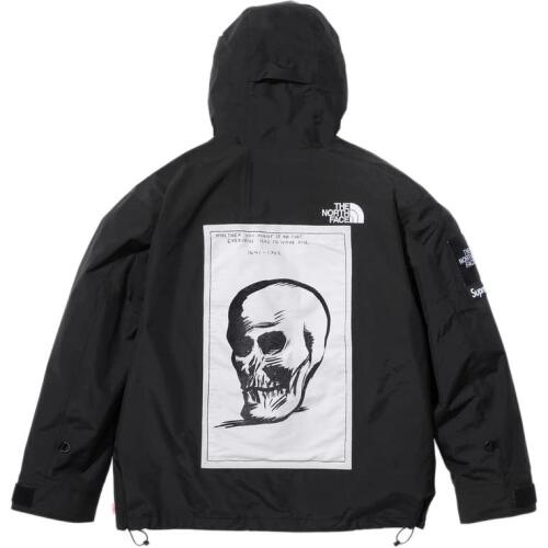Supreme x THE NORTH FACE FW24 WEEK9 logo