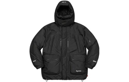 Supreme FW22 Week 17 GORE-TEX 700-Fill Down Parka