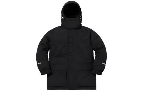 Supreme FW18 GORE-TEX 700-Fill Down Parka Black