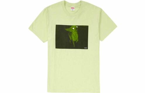 Supreme FW18 Chris Cunningham Chihuahua Tee Pale Mint T