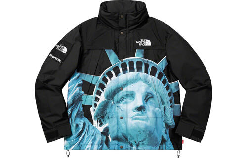 Supreme Week 10 x The North Face Statue of Liberty Mountain Jacket Black