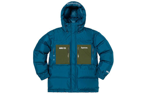 Supreme FW19 Week 16 Gore-Tex 700-Fill Down Parka