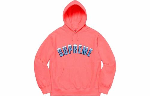 Supreme FW20 Week 1 Icy Arc Hooded Sweatshirt Logo