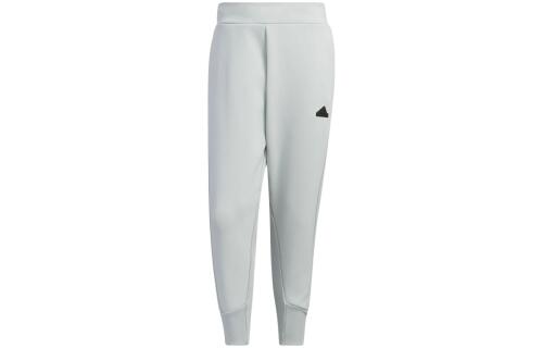 Мужские брюки adidas SPORTSWEAR Z.N.E. PANTS