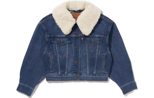 Levis FW22