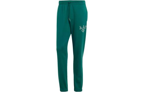 Мужские брюки adidas AAC SWEAT PANTS зеленые