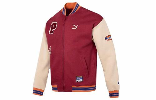 PUMA TEAM BADGE Team Badge Bomber Jacket Dk Logo