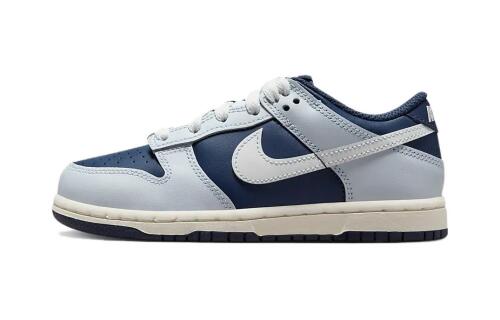 Детские кроссовки Nike Dunk Low (PSE) серые