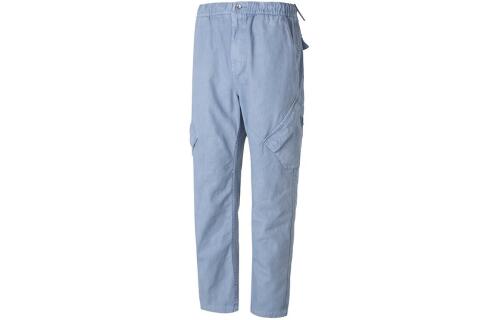 Мужские брюки nike Jordan Essentials Chicago синие