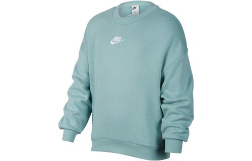 Детский свитшот Nike Sportswear Icon Fleece FQ6993-309