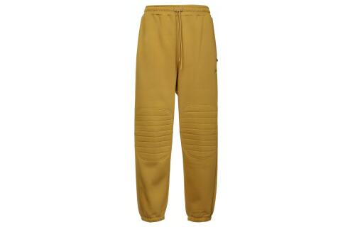 Мужские брюки Nike Sportswear Therma-FIT Tech Pack FB7824-716