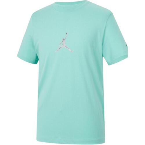 Мужская футболка nike Jordan Flight MVP зеленая