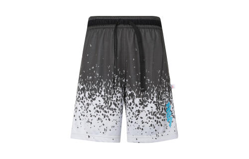 Мужские шорты nike Zion