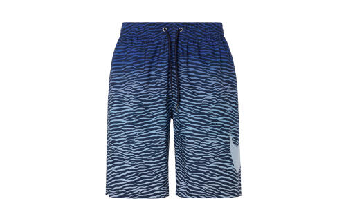 Мужские шорты Nike Swim синие