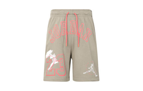 Мужские шорты nike Jordan Essentials HJ6543-247