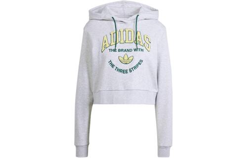 Женское худи adidas VRCT GRAPHIC HOODIE серое