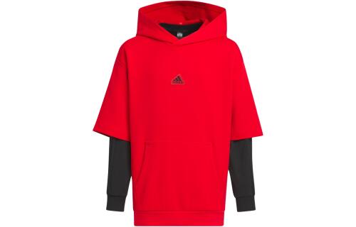 Детское худи adidas SPORTSWEAR HOODIE IT4063