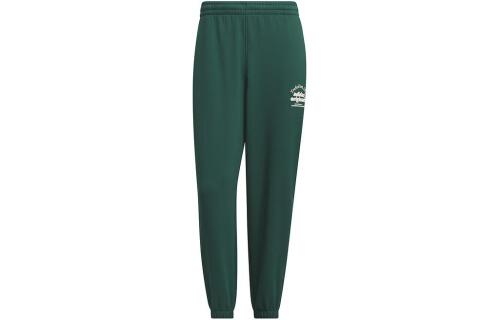 Мужские брюки adidas ADICOLOR SWEAT PANTS JE3467