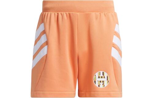 Мужские шорты adidas HARDEN GRAPHIC SHORTS