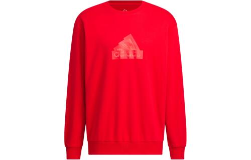 Мужской свитшот adidas GRAPHIC CREW SWEATSHIRT красный