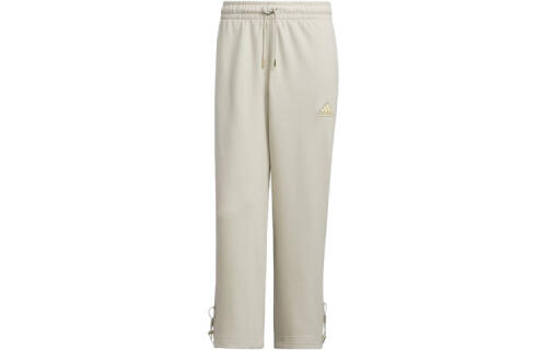 Мужские брюки adidas HEAVY FRENCH TERRY SWEAT PANTS IT3969