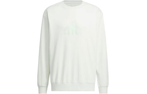 Мужской свитшот adidas GRAPHIC CREW SWEATSHIRT IT3991