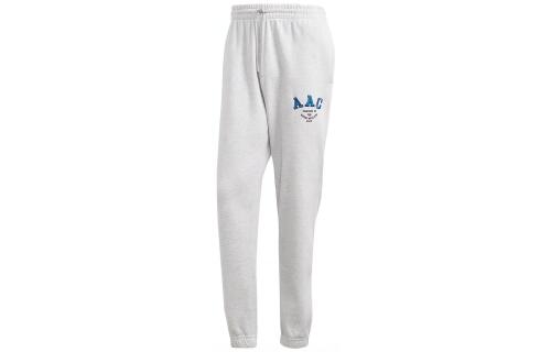 Мужские брюки adidas AAC SWEAT PANTS серые
